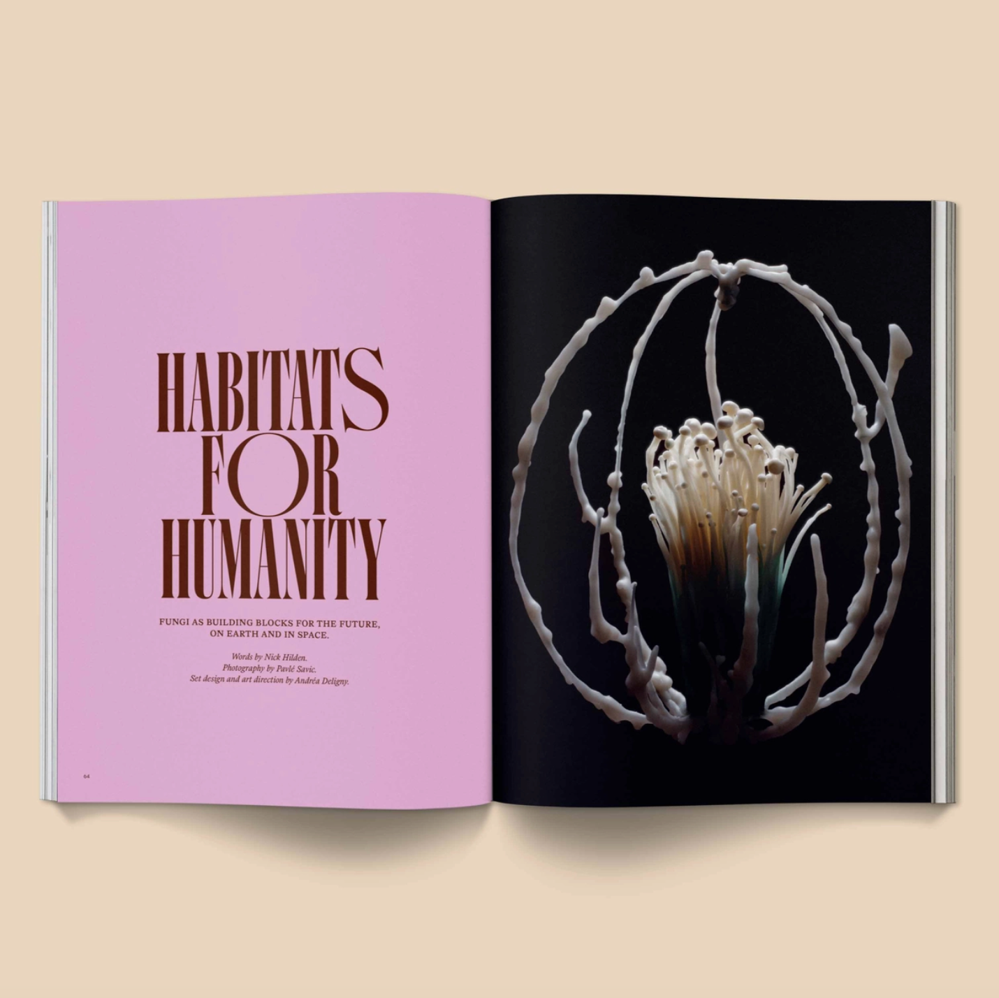 Mushroom People Magazine: Volume 2