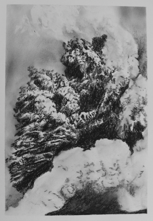 Charcoal is All What’s Left (no.2) - Mel Chan