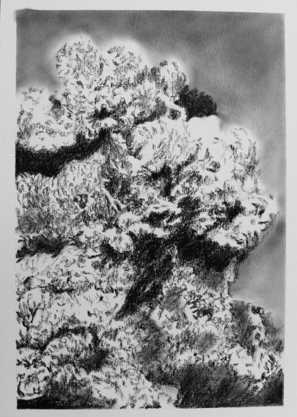 Charcoal is All What’s Left (no.4) - Mel Chan