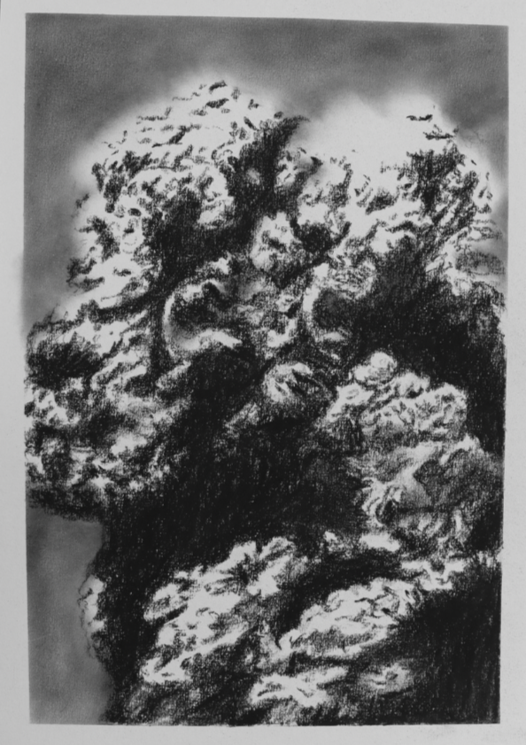Charcoal is All What’s Left (no.5) - Mel Chan