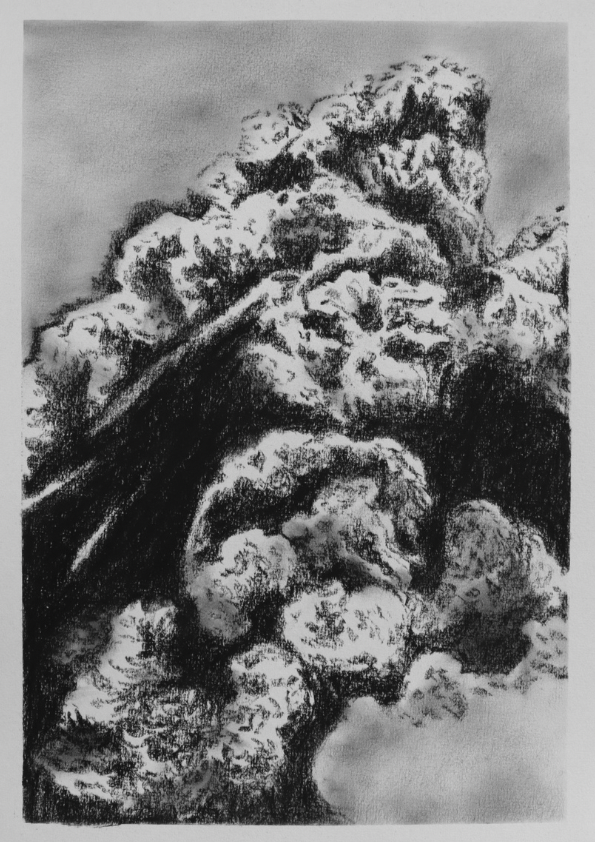 Charcoal is All What’s Left (no.6) - Mel Chan