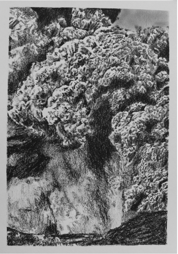 Charcoal is All What’s Left (no.7) - Mel Chan