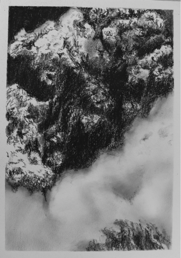 Charcoal is All What’s Left (no.11) - Mel Chan
