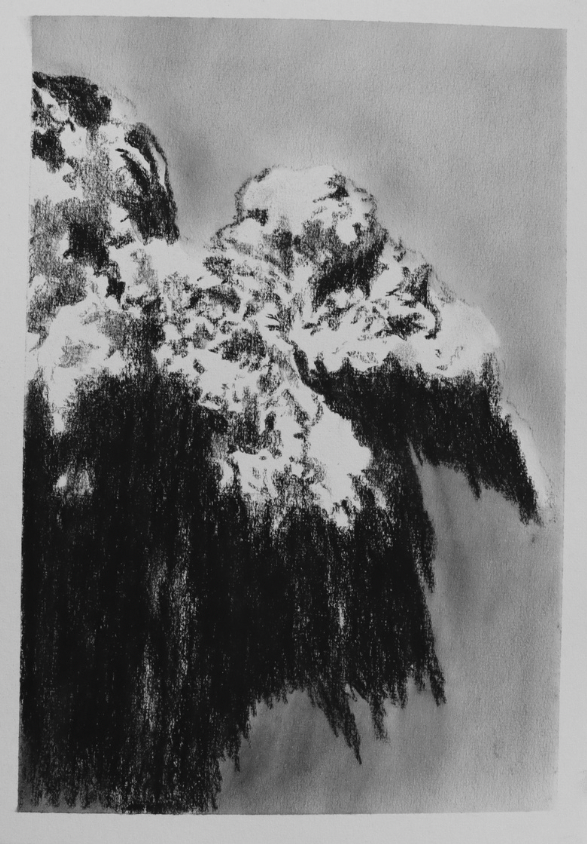 Charcoal is All What’s Left (no.14) - Mel Chan