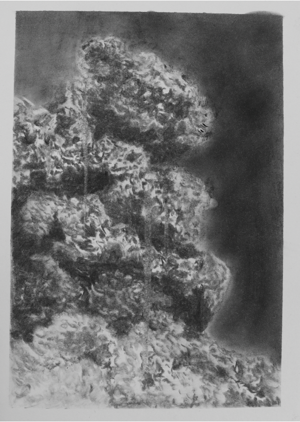 Charcoal is All What’s Left (no.15) - Mel Chan