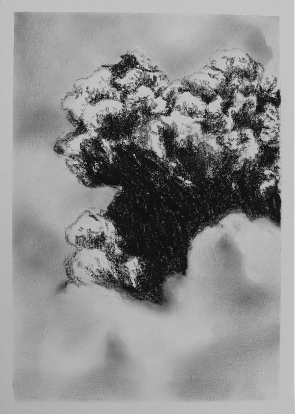 Charcoal is All What’s Left (no.17) - Mel Chan