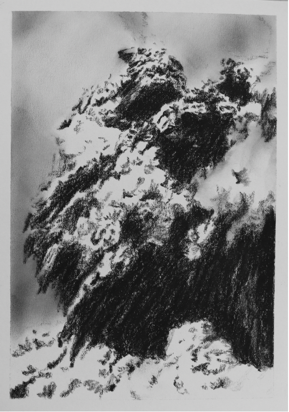 Charcoal is All What’s Left (no.22) - Mel Chan