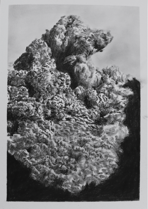 Charcoal is All What’s Left (no.24) - Mel Chan