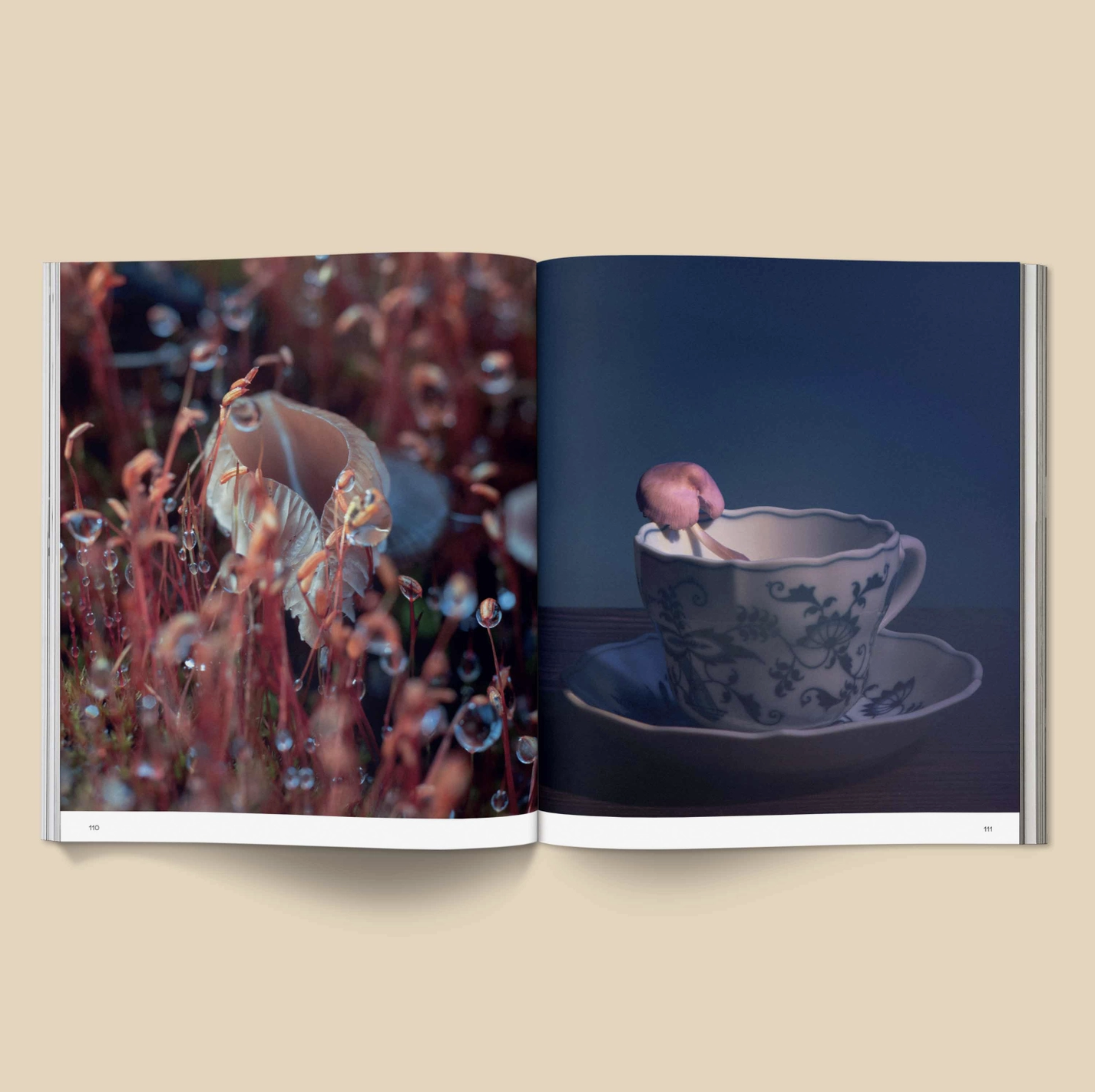 Spores: Magical Mushroom Photography Book